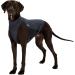 Trixie 30400 Insect Shield Vest Grey XS - Premium Bug Protection for Pets | International Shipping Available - Buy Online on SooperMarket.com