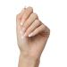 KISS imPRESS No Glue Press-On Nails - French Manicure Light Neutral & White Tips Medium Coffin Shape 30 Nails + Accessories - Buy Online on SooperMarket.com