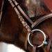 Horze Constance Padded Fancy Stitch Bridle w/Reins - Tan Horse - Buy Online on SooperMarket.com