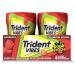 Trident Vibes Sour Patch Kids Sugar-Free Gum Redberry 40 count (Pack of 6) Redberry 40 count (Pack of 6) - Buy Online on SooperMarket.com