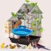 Hanging Bird Bath Tub for Parrot Cage - Shower Box, Feeder & Water Tray Accessories - Buy Online on SooperMarket.com