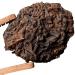 Oriarm Yunnan Ripe Puerh Tea Lao Cha Tou - Menghai Shu Puerh Old Tea Nuggets - Chinese Pu Erh Tea Aged 225g Ziplock Resealable Bag Puerh Old Tea Nuggets 225g