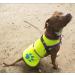 SafetyPUP XD Dog Safety Vest | Neon Yellow | Sizes for Dogs 14-130 lbs | Ultimate Safety & Comfort - Buy Online on SooperMarket.com