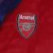 Arsenal FC Baby Fleece Hooded Bathrobe - Official Merchandise for Ages 2-3 Years - Red Gift - Buy Online on SooperMarket.com