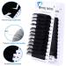 Eyelash Extensions D Curl 20-25mm | Silk Individual Lashes 0.20mm | Classic Extensions for Salon Use by WENDY LASHES - Buy Online on SooperMarket.com