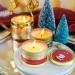 Sentorini Fragrance Candles Christmas Gift Set - 4 Soy Wax Aromatherapy Candles for Women | Perfect for Weddings Parties Father's Day Mother's Day & Valentine's Day - Scents: Sherry Brandy Apple Cinnamon Winter Cedar Gingerbread - Buy Online on SooperMarket.com