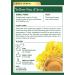 Traditional Medicinals Yellow Pau d'Arco Herbal Tea - Pack of 2 (32 Tea Bags) for Wellness - Buy Online on SooperMarket.com
