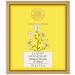 Forest Essentials Jasmine and Mogra Luxury Sugar Soap 125g