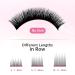 Self-Fan Eyelash Extensions | C D Curl 2D-20D Volume Lashes | 0.07mm Thickness | 10mm Length | International Shipping - Buy Online on SooperMarket.com