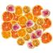 OFFSCH 1 Dried Apple Slices Lifelike Decorative Fruits Dried Lemon Wreath Ornament Simulation Lemon Slices Lemon Garland Wedding Cake Decorations Unique Dried Fruit Party Supplies