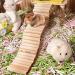 Rat Ladder Bridge Wooden Hamster Climbing Ladder and Swing Small Animal Bendable Fence Climbing Stair Toy Cage Accessories for Bird Parrot Hamsters Chipmunks - Buy Online on SooperMarket.com