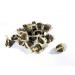 Organic Moringa Oleifera Seeds (Semillas de Moringa) / WT: 57 GR 170 GR 340 GR 510 GR 822 GR (510 GR)