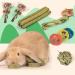 Fipases Rabbit Cake Stuff - 16 Natural Timothy Hay Kieletzeiten for Dental Health | Ideal for Rabbits Guinea Pigs Hamsters & Holland Lops - Buy Online on SooperMarket.com