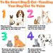 Dog Recordable Training Buttons Set of 6 Colors Dog Training Buzzer Dog Talking Buzzers Button with 25 Stickers and 3 Mats Louder Clearer Record & Playback Message for Communication&Training - Buy Online on SooperMarket.com