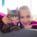 2PCS Glow in The Dark Breakaway Cat Collars with Bell - Adjustable Kitten Collars in Purple+Pink - Buy Online on SooperMarket.com