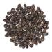 Premium Organic Juniper Berries - Wild Collected 200g | Pfefferdieb - International Shipping Available - Buy Online on SooperMarket.com