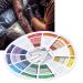 Multi-Color Tattoo Color Wheel Guide for Art Classroom & Business - Buy Online on SooperMarket.com