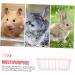 Rabbit Rack Feeder for Cage Holder for Rabbits Pet Feeder Metal Rack Metal Feeder Feeder Hamster Holder Cage Guinea Pig Wrought Iron Ferrets - Buy Online on SooperMarket.com