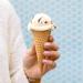 ENLIGHTENED Sugar-Free Ice Cream Cones | Vegan, Low Calorie (30), Low Carb (Net 3g) - 12 Pack - Buy Online on SooperMarket.com
