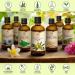 Extra Virgin Olive Oil 100ml - Cold-Pressed Pure Oil from Spain for Face Hair Skin & Nails - Best for Massage & Body Care - Buy Online on SooperMarket.com