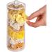 Clear Hair Scrunchie Holder Stand with Lid - 2 Pack | Hair Ties & Accessories Organizer for Teen Girls - FABROK - Buy Online on SooperMarket.com