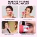 Face and Eye Ice Roller | Facial Massage Tool for Skin Care | Reduce Pores, Dark Circles, and Fine Lines | Brighten and Hydrate Skin - Buy Online on SooperMarket.com