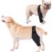 Dog Knee Brace Adjustable Dog Rear Leg Brace Soft Breathable Dog Knee Support Brace for Elderly Disabled Injured Dogs Both Back and Front Legs (S) - Buy Online on SooperMarket.com
