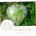 Gadpiparty Plant Vegetables Fruit for Outdoor Vegetable Pumpkin Watermelon - Buy Online on SooperMarket.com