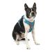 Kurgo Journey Air Dog Harness With Padded Chest and Back Handle For Dogs 2-5 kg Size XS Blue/Gray XS Blue