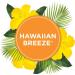 Glade PlugIns Car Air Freshener Refill Hawaiian Breeze 0.11 fl oz - Buy Online on SooperMarket.com
