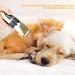 Podazz Electric Dog Grooming Kit Pet Clippers for Small Medium Large Breeds Pet Shaver Low Noise Dog Hair Trimmer Kit Rechargeable Cordless Dog Grooming Clippers Electric Pet Clippers Gold - Buy Online on SooperMarket.com