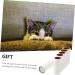 Ipetboom 3 Sets Roller Sticky Paper - Ultimate Lint Remover & Fur Roller for Clothes | Convenient Handheld Pet Hair Remover for Home - Buy Online on SooperMarket.com