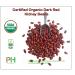 Organic Dark Red Kidney Beans- Fiber & Protein rich  Raw  Non-GMO  Vegan Bulk-10LB Organic Dark Red Kidney Beans 10 Pound (Pack of 1) - Buy Online on SooperMarket.com