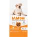 IAMS Complete Dry Dog Food for Adult 1+ Large Breeds with Chicken 12 kg 12 kg (Pack of 1) - Buy Online on SooperMarket.com
