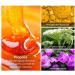 1PC Nail Treatment Nail Renewal Solution Toenails & Fingernails Nail Repairs Essential Oil Protects Toenail Fungus Treatment From Discoloration Brittle And Cracked Nail(12ML) - Buy Online on SooperMarket.com