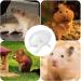 Wheel for Hamster | Hamster Exercise Wheel Running Wheel Small Animal Toys for Hamsters Gerbils Mice Hamster Cage Accessories Troonz White - Buy Online on SooperMarket.com