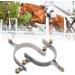Stainless Steel Roller Spurs - Equestrian Gear Accessories for Horse Training | 5.1 x 3.5 x 0.8in | For Men and Women - Buy Online on SooperMarket.com