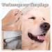 5 Pack Flea Comb for Cats & Dogs | Effective Lice & Flea Removal | Professional Pet Care Comb - Buy Online on SooperMarket.com