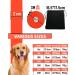 Looxmeer Rubberized Tow Lines for Dogs - 3m/5m/7m/10m/15m/20m/30m Leash | Durable Neon Orange Leash for Small & Medium-Sized Dogs - Buy Online on SooperMarket.com
