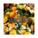 GUERLAIN Aqua Allegoria Harvest Mandarine Basilic Eau De Toilette Spray for Women 4.2 Ounce - Buy Online on SooperMarket.com