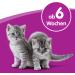 Whiskas Cat Milk for Cats from 6 weeks - Delicious Snack for a Happy Cat - Lactose-free and Easily Digestible - Different Sizes Milk 3 l (Pack of 1) - Buy Online on SooperMarket.com