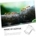 Minkissy 4-Piece Ant Feeding Station Set - Clear Ant Farm for Colony Observation - 2.5x2.1CM Ant Habitat - Buy Online on SooperMarket.com