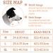 Fainfun Dog Halver - Head Haller & Halter for Large Dogs | Safe Walks & Prevention of Aggression - Buy Online on SooperMarket.com