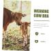 Buy Milk Hood for Cattle - Durable Plastic Cow Breast Protector & Weaner | Outdoor Farm Supplies - Buy Online on SooperMarket.com