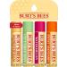 Burt's Bees 100% Natural Moisturizing Lip Balm 4-Pack Gift Set | Natural Lip Balms Bundle - Buy Online on SooperMarket.com