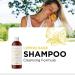 Sulfate Free Lemon Sage Shampoo for Oily Hair - Deep Cleansing Clarifying Shampoo with Keratin and Tea Tree Oil for Men and Women - Buy Online on SooperMarket.com