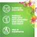 Gain Botanicals Orange Blossom Vanilla Plant Based Laundry Detergent 46 fl oz - Pack of 2 | HE Compatible, 32 Loads - Buy Online on SooperMarket.com
