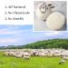 Organic XL Wool Dryer Balls - 6 Pack Sheep Pattern | Cute Fabric Softener | Shorten Drying Time | Reusable Laundry Essential - Buy Online on SooperMarket.com