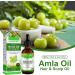 Amla Hair Oil Indian Amla Oil for Hair Amla Oil for Hair Growth Scalp Oil Nourishes Scalp Indian Hair Oil for Skin and Face Amla Essential Oil Hair Growth Oil for Women for Long Soft Strong Hair 60ml - Buy Online on SooperMarket.com
