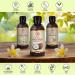 Buy Pure Fractional Coconut Oil 250ml - Odorless Cocos Nucifera Oil for Skin Hair and Massage - Natural Cosmetic Oil - International Shipping Available - Buy Online on SooperMarket.com
